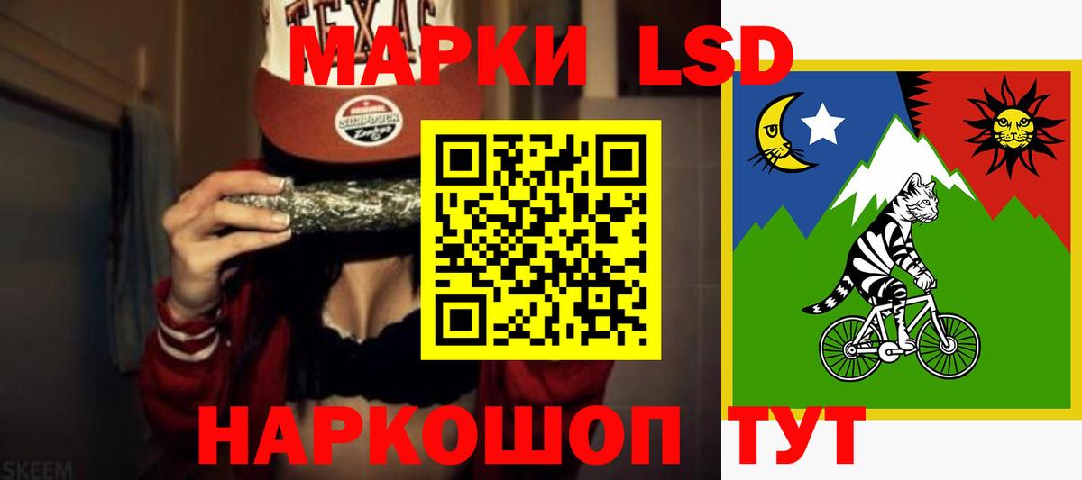 МЕФ Кириши