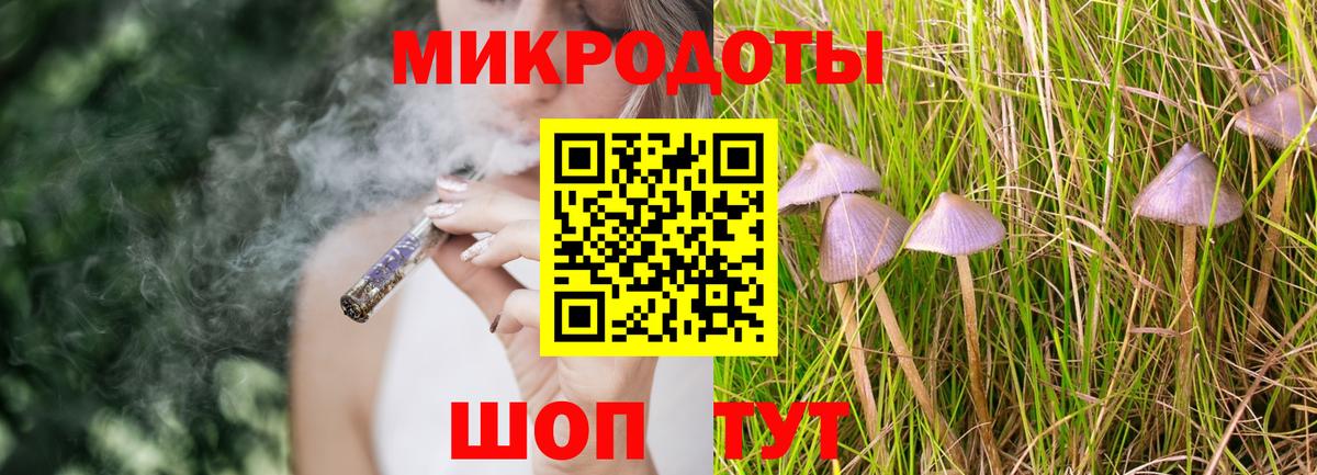 Псилоцибиновые грибы Psilocybe Кириши