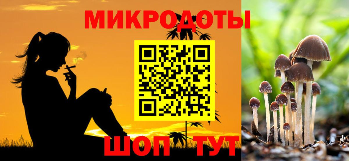 где можно купить наркотик  Галлюциногенные грибы MAGIC MUSHROOMS  Вход с VPN  Галлюциногенные грибы прущие грибы  Кириши 